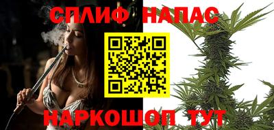 спиды Бердск