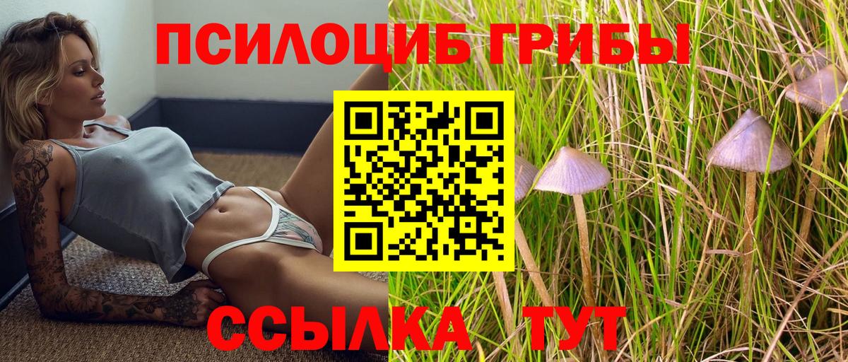Новый Уренгой  Псилоцибиновые грибы Psilocybe  закладка  Вход с VPN  Псилоцибиновые грибы Magic Shrooms 